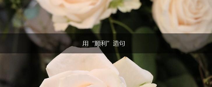 用“顺利”造句,第1张