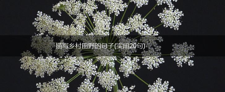 描写乡村田野的句子(实用20句),第1张