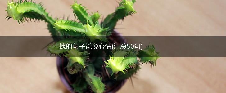 拽的句子说说心情(汇总50句),第1张