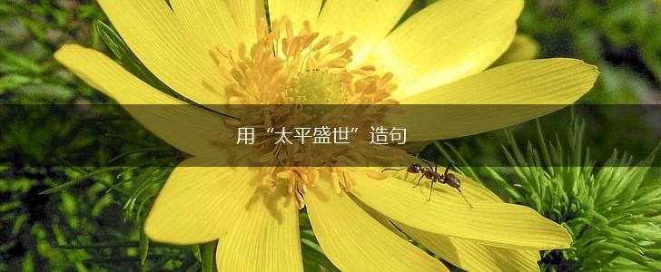 用“太平盛世”造句,第1张