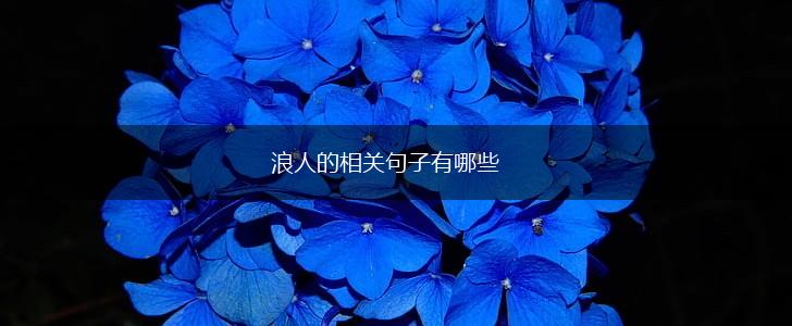 浪人的相关句子有哪些,第1张