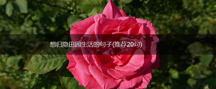 想归隐田园生活的句子(推荐20句),第1张