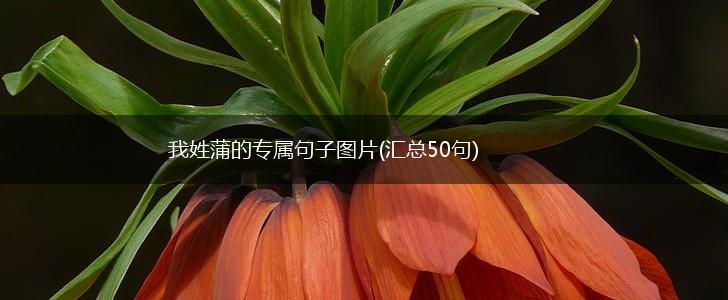 我姓蒲的专属句子图片(汇总50句),第1张