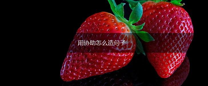 用协助怎么造句子,第1张