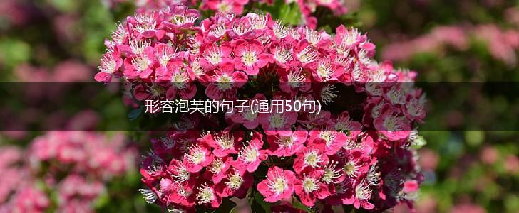 形容泡芙的句子(通用50句),第1张