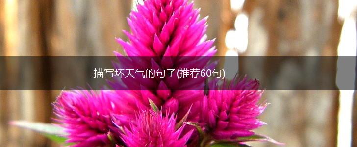 描写坏天气的句子(推荐60句),第1张