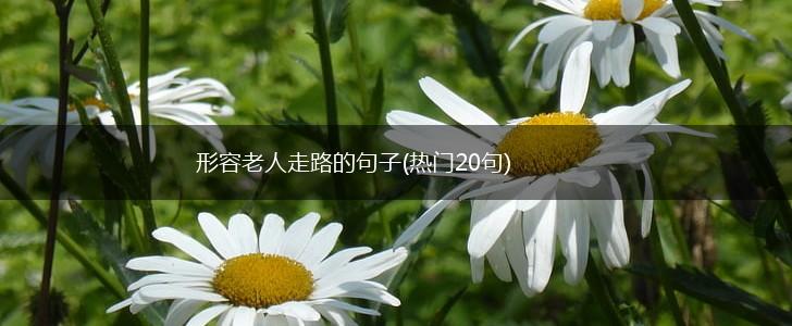 形容老人走路的句子(热门20句),第1张