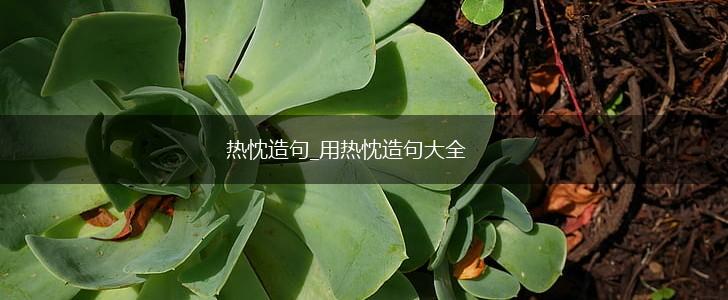 热忱造句_用热忱造句大全,第1张
