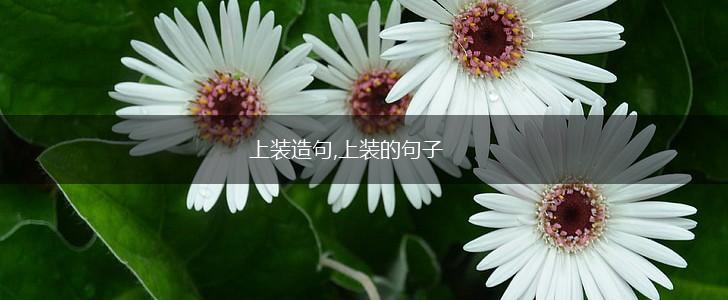上装造句,上装的句子,第1张