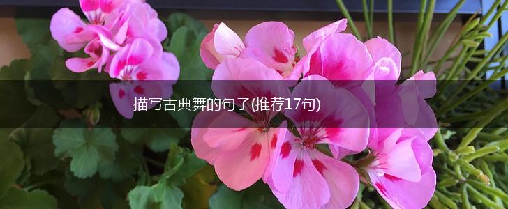 描写古典舞的句子(推荐17句),第1张