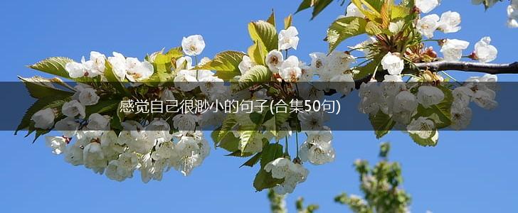 感觉自己很渺小的句子(合集50句),第1张