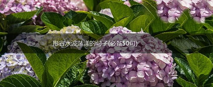 形容水波荡漾的句子(必备50句),第1张