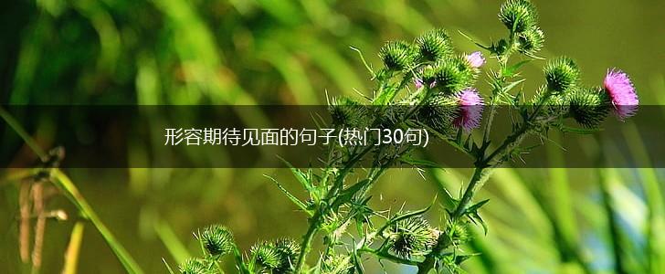 形容期待见面的句子(热门30句),第1张