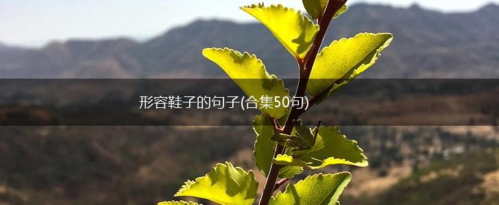 形容鞋子的句子(合集50句),第1张