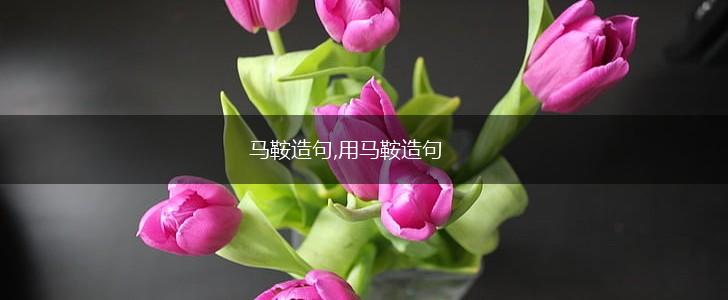 马鞍造句,用马鞍造句,第1张