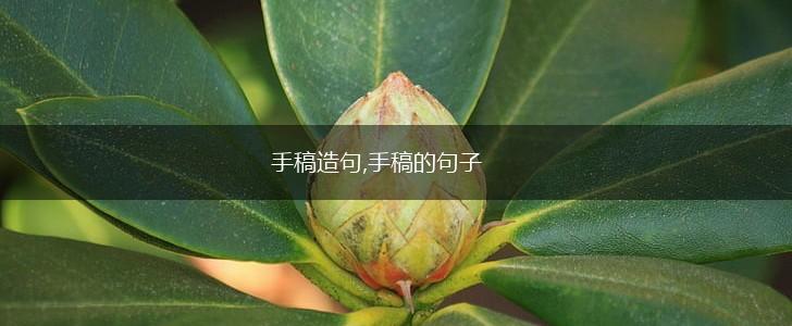 手稿造句,手稿的句子,第1张