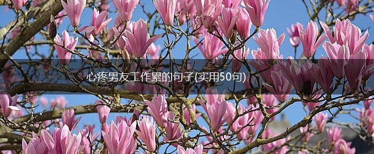心疼男友工作累的句子(实用50句),第1张