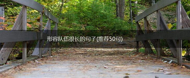 形容队伍很长的句子(推荐50句),第1张