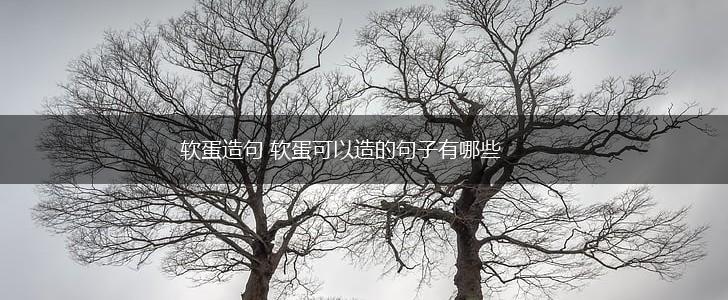软蛋造句 软蛋可以造的句子有哪些,第1张
