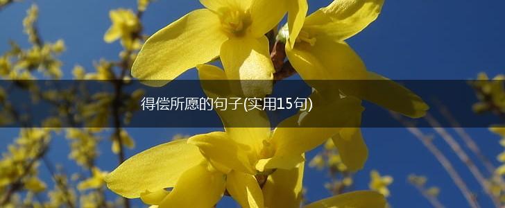 得偿所愿的句子(实用15句),第1张