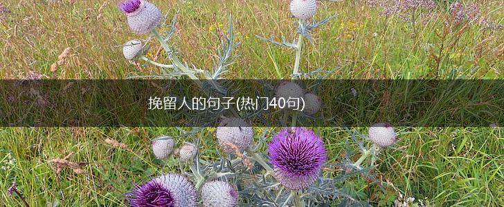 挽留人的句子(热门40句),第1张