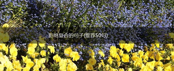 拒绝复合的句子(推荐50句),第1张