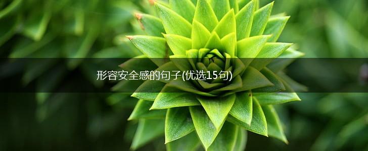 形容安全感的句子(优选15句),第1张