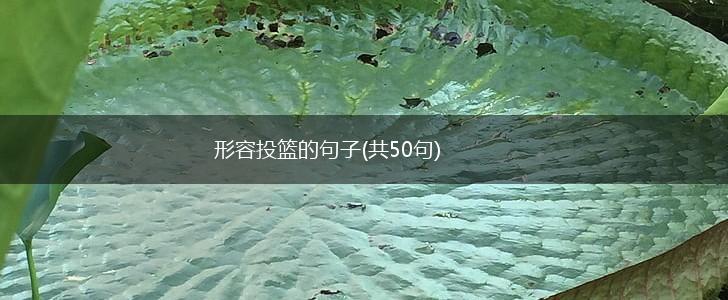 形容投篮的句子(共50句),第1张