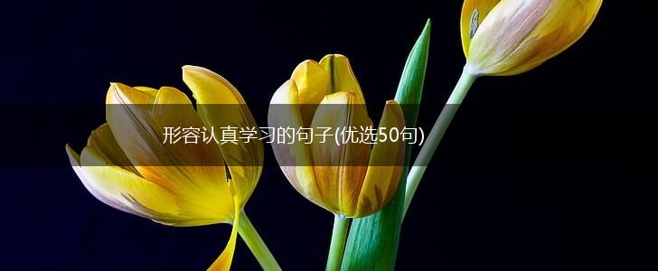 形容认真学习的句子(优选50句),第1张