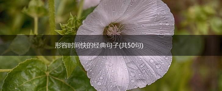 形容时间快的经典句子(共50句),第1张