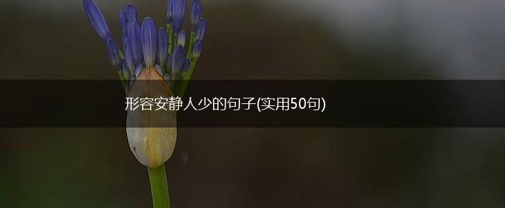 形容安静人少的句子(实用50句),第1张