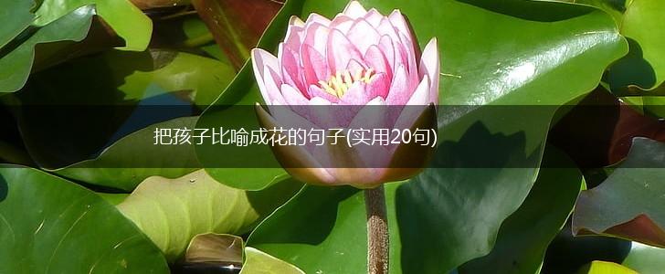 把孩子比喻成花的句子(实用20句),第1张