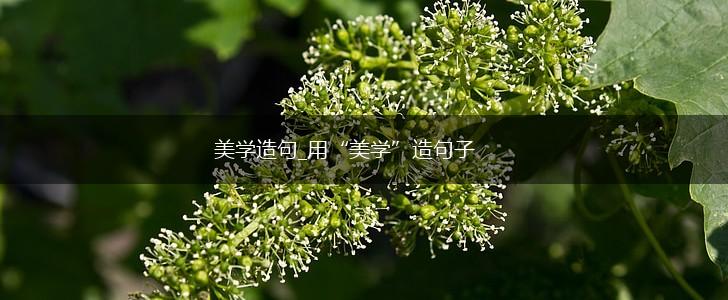 美学造句_用“美学”造句子,第1张