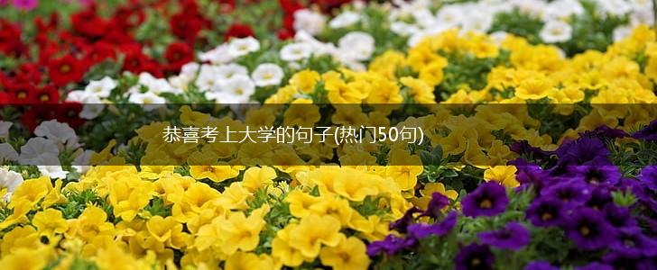 恭喜考上大学的句子(热门50句),第1张