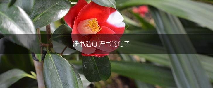 淫书造句 淫书的句子,第1张