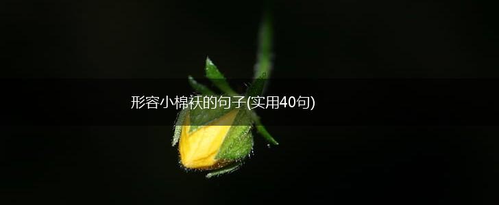 形容小棉袄的句子(实用40句),第1张