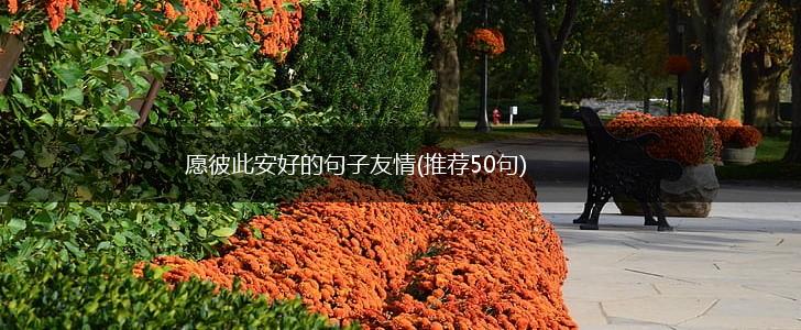 愿彼此安好的句子友情(推荐50句),第1张