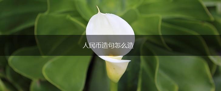 人民币造句怎么造,第1张