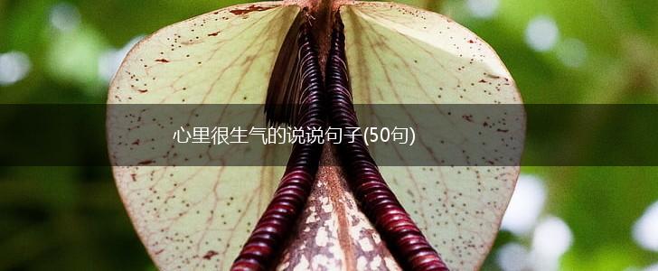 心里很生气的说说句子(50句),第1张