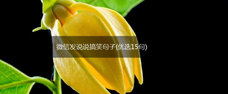 微信发说说搞笑句子(优选15句),第1张