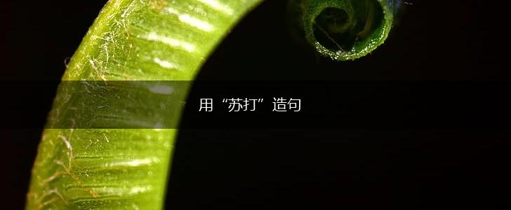 用“苏打”造句,第1张