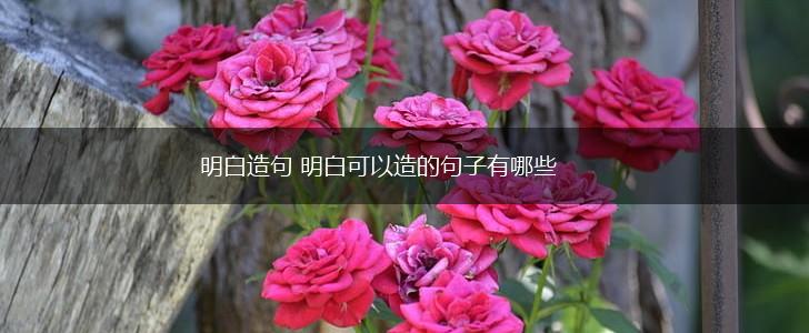 明白造句 明白可以造的句子有哪些,第1张
