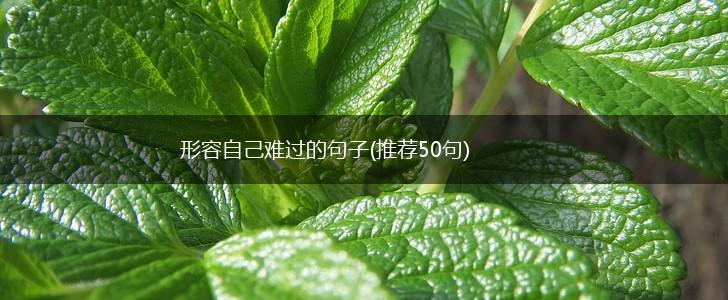 形容自己难过的句子(推荐50句),第1张