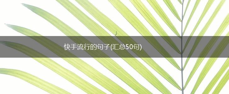 快手流行的句子(汇总50句),第1张