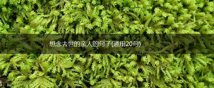 想念去世的亲人的句子(通用20句),第1张