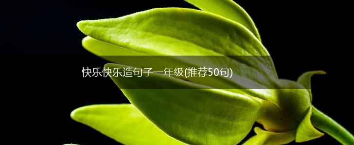 快乐快乐造句子一年级(推荐50句),第1张