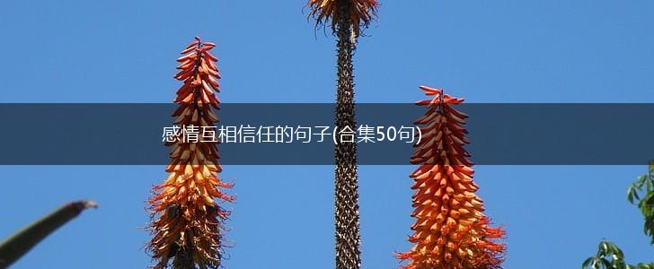 感情互相信任的句子(合集50句),第1张