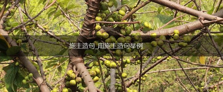 施主造句_用施主造句举例,第1张