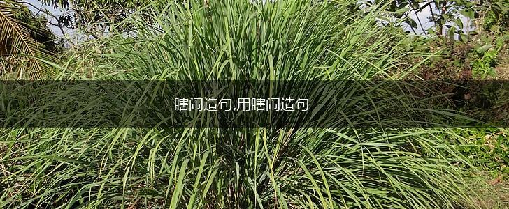 瞎闹造句,用瞎闹造句,第1张