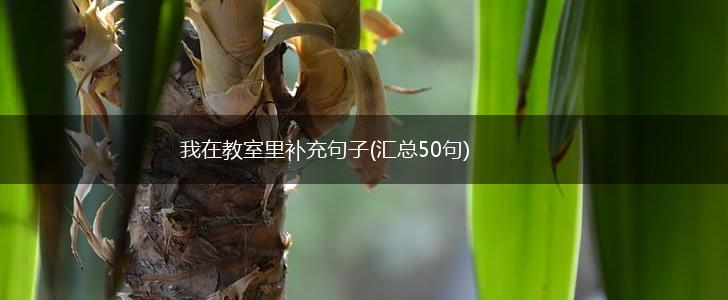我在教室里补充句子(汇总50句),第1张